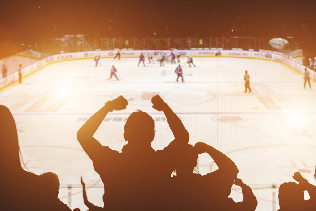 Ice Hockey League Referenz